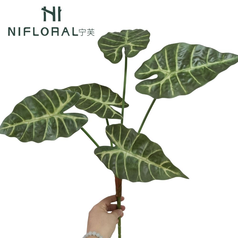 60CM 5 Heads Faux Plastic Alocasia Leaf,60CM 5 Heads Faux Plastic Alocasia Leaf