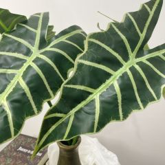 Faux Alocasia Green Velvet Variegated Leaves,Faux Alocasia Green Velvet Variegated Leaves