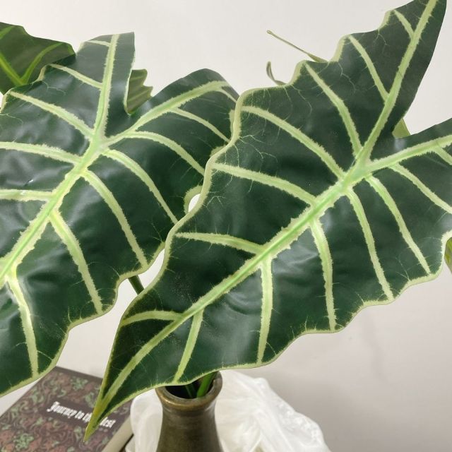 Faux Alocasia Green Velvet Variegated Leaves,Faux Alocasia Green Velvet Variegated Leaves