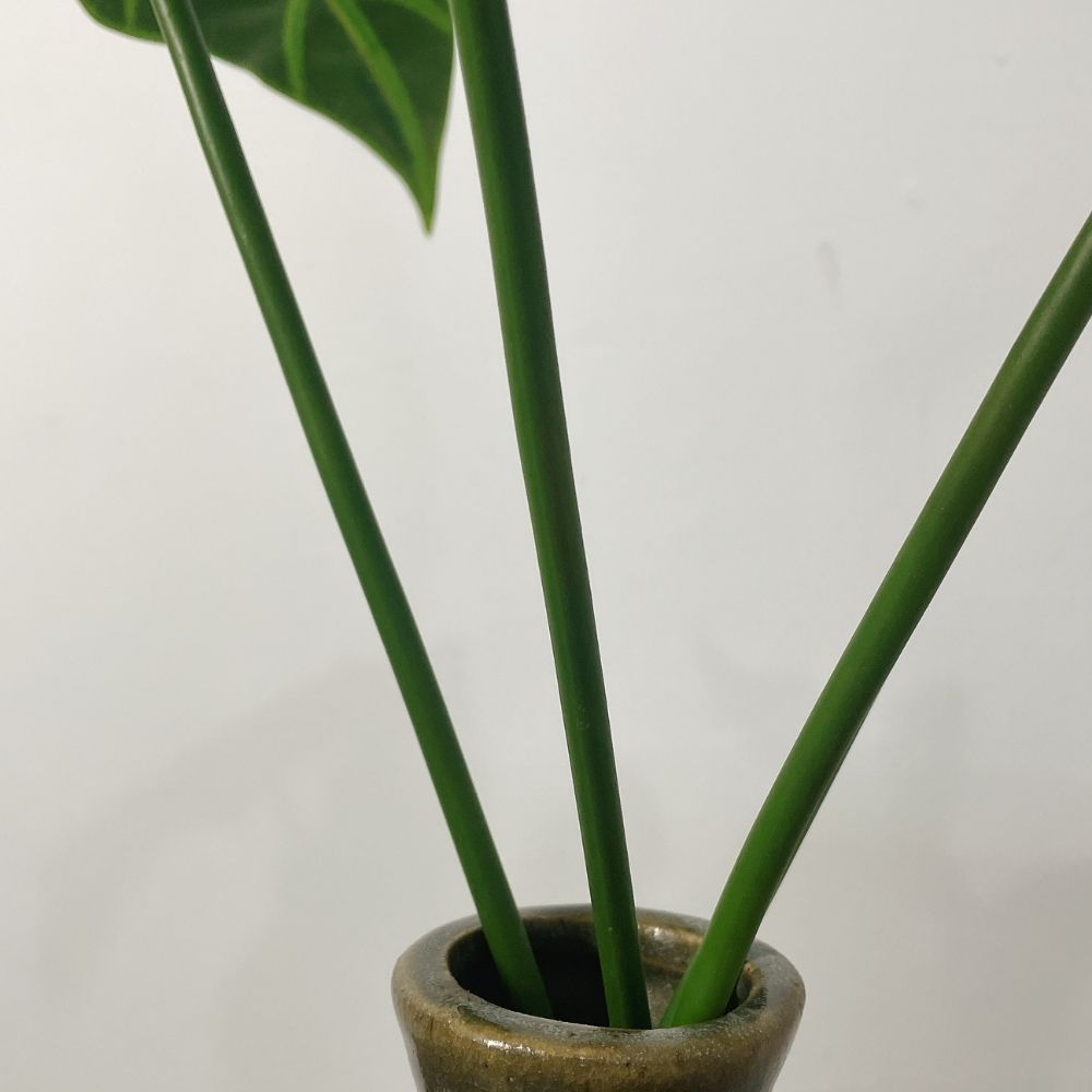 Faux Alocasia Green Velvet Variegated Leaves,Faux Alocasia Green Velvet Variegated Leaves