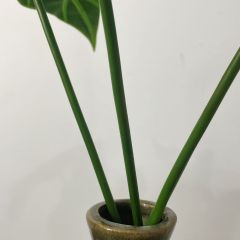 Faux Alocasia Green Velvet Variegated Leaves,Faux Alocasia Green Velvet Variegated Leaves