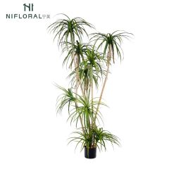 Premium Realistic Faux Dracaena Potted Trees / Multiple Sizes Available,Premium Realistic Faux Dracaena Potted Trees / Multiple Sizes Available