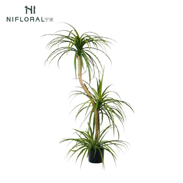Premium Realistic Faux Dracaena Potted Trees / Multiple Sizes Available,Premium Realistic Faux Dracaena Potted Trees / Multiple Sizes Available