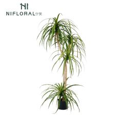 Premium Realistic Faux Dracaena Potted Trees / Multiple Sizes Available,Premium Realistic Faux Dracaena Potted Trees / Multiple Sizes Available
