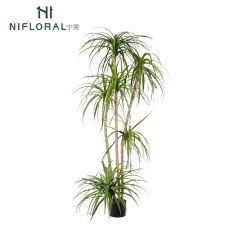 Premium Realistic Faux Dracaena Potted Trees / Multiple Sizes Available,Premium Realistic Faux Dracaena Potted Trees / Multiple Sizes Available