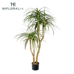 Premium Realistic Faux Dracaena Potted Trees / Multiple Sizes Available,Premium Realistic Faux Dracaena Potted Trees / Multiple Sizes Available