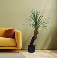 90CM Faux Yucca Potted Tree,90CM Faux Yucca Potted Tree