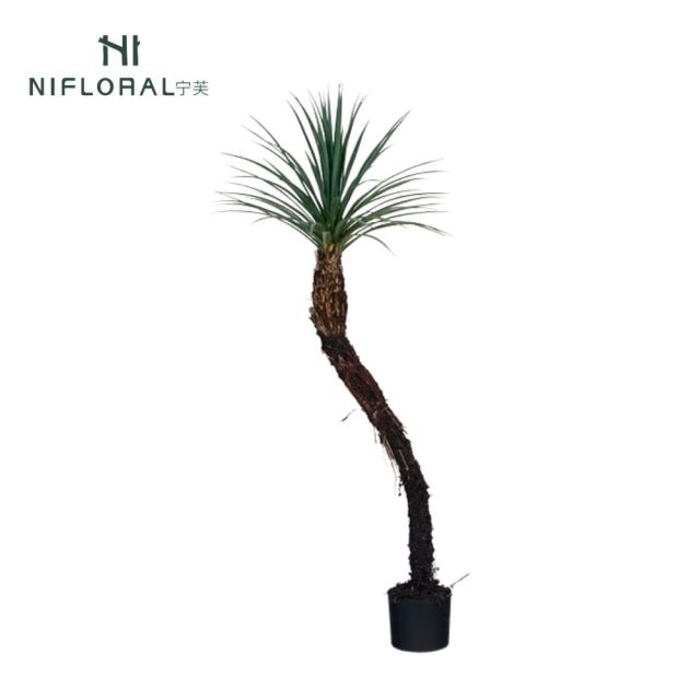 147CM Artificial Potted Yucca Tree,147CM Artificial Potted Yucca Tree