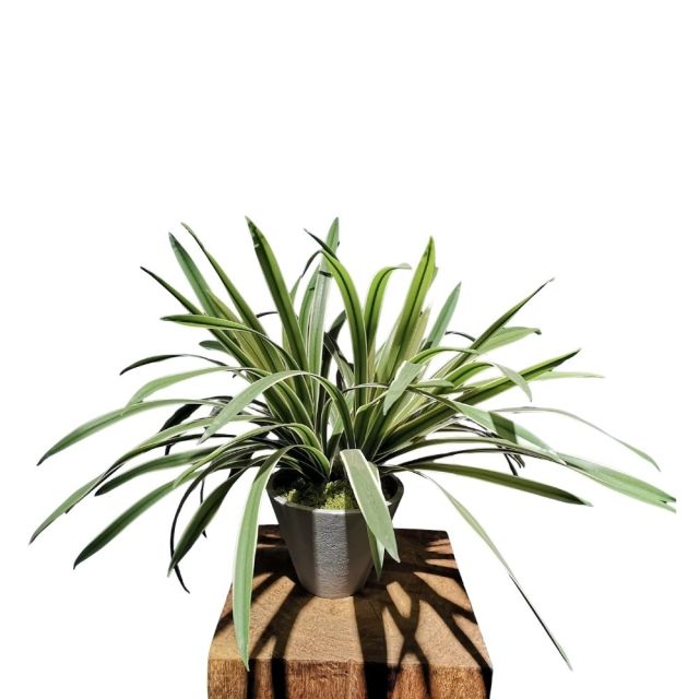 Real Touch Table Decor Faux Potted Spider Plants,Real Touch Table Decor Faux Potted Spider Plants
