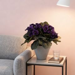 Small Size Home Table Decor Faux Violet Flowers,Small Size Home Table Decor Faux Violet Flowers