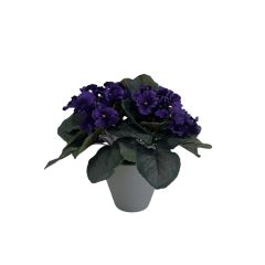 Small Size Home Table Decor Faux Violet Flowers,Small Size Home Table Decor Faux Violet Flowers