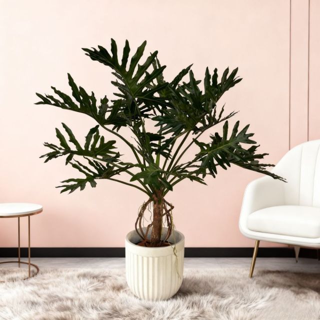 Custom Design 170CM Height Realistic Potted Philodendron Plant,Custom Design 170CM Height Realistic Potted Philodendron Plant