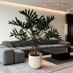 Custom Design 170CM Height Realistic Potted Philodendron Plant,Custom Design 170CM Height Realistic Potted Philodendron Plant