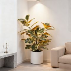 110CM&150CM&175CM RUBBER TREE,110CM (3') 150CM (5')175CM (5.7')  ARTIFICIAL RUBBER TREE -- Chinese suppliers