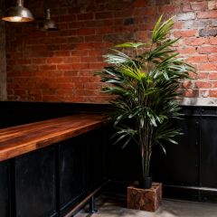 160CM Artificial Rhapis Palm Tree,Wholesale 160cm(5.2') Artificial Rhapis Palm Tree | Compact Tropical Decor for Café, Bar & Co-working Space | Chinese Supplier