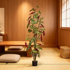 190CM 220CM 250CM Begonia Trees,190CM 220CM 250CM Begonia Trees