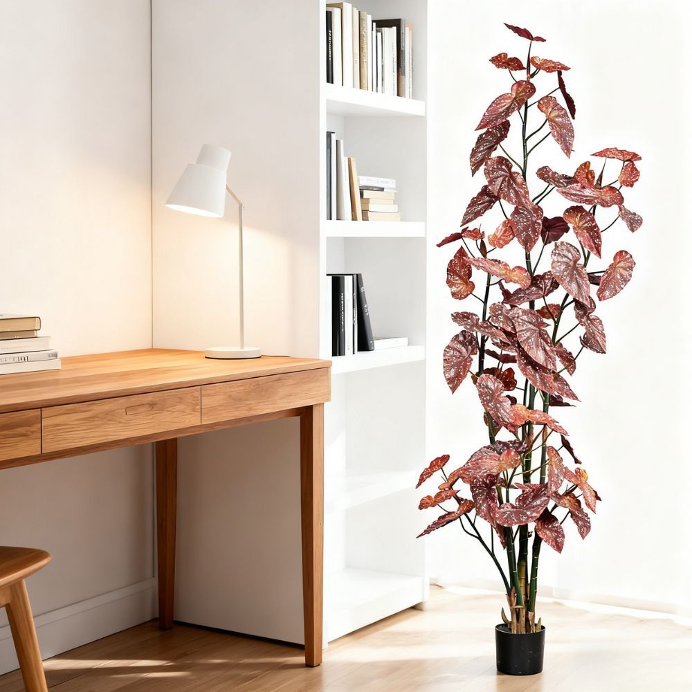 190CM 220CM 250CM Begonia Trees,190CM 220CM 250CM Begonia Trees