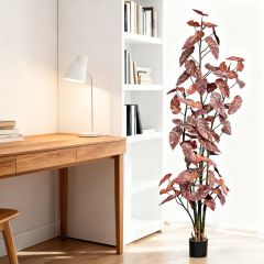 190CM 220CM 250CM Begonia Trees,190CM 220CM 250CM Begonia Trees