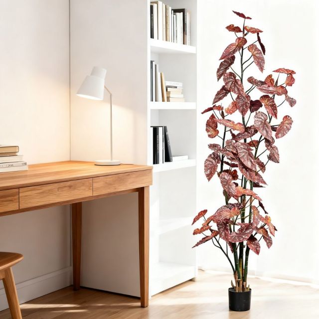 190CM 220CM 250CM Begonia Trees,190CM 220CM 250CM Begonia Trees