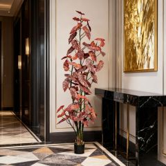 190CM 220CM 250CM Begonia Trees,190CM 220CM 250CM Begonia Trees