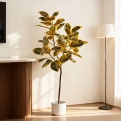 160CM ARTIFICIAL VARIEGATED RUBBER TREE,Wholesale High-Quality 160cm(5') Variegated Faux Rubber Tree