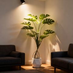 FAUX MONSTERA TREES 100CM-180CM,Modern 100CM-180CM(3'-6')Home Living Room Decoraive Faux Montera Tree Office Hotel Restaurant Decor Artificial Monstera Tree -- Chinese suppliers