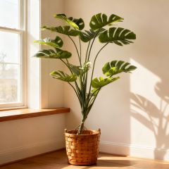 FAUX MONSTERA TREES 100CM-180CM,Modern 100CM-180CM(3'-6')Home Living Room Decoraive Faux Montera Tree Office Hotel Restaurant Decor Artificial Monstera Tree -- Chinese suppliers