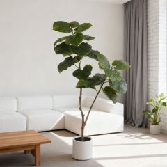 160CM Faux Ficus Umbellata Tree,160CM Faux Ficus Umbellata Tree