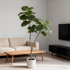 160CM Faux Ficus Umbellata Tree,160CM Faux Ficus Umbellata Tree