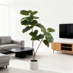 160CM Faux Ficus Umbellata Tree,160CM Faux Ficus Umbellata Tree