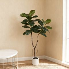 160CM Nearly Natural Faux Rubber Tree in White Pot,160CM Nearly Natural Faux Rubber Tree in White Pot