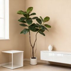 160CM Nearly Natural Faux Rubber Tree in White Pot,160CM Nearly Natural Faux Rubber Tree in White Pot