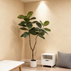 160CM Nearly Natural Faux Rubber Tree in White Pot,160CM Nearly Natural Faux Rubber Tree in White Pot