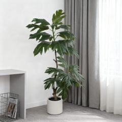 160CM Real Touch Faux Breadfruit Tree,160CM Real Touch Faux Breadfruit Tree