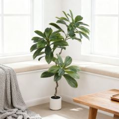 160CM Neraly Natural Faux Ornamental Elaeocarpus Tree,160CM Neraly Natural Faux Ornamental Elaeocarpus Tree