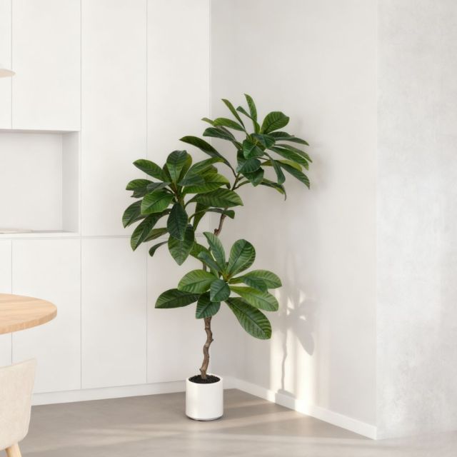 160CM Neraly Natural Faux Ornamental Elaeocarpus Tree,160CM Neraly Natural Faux Ornamental Elaeocarpus Tree