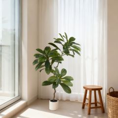 160CM Neraly Natural Faux Ornamental Elaeocarpus Tree,160CM Neraly Natural Faux Ornamental Elaeocarpus Tree