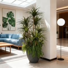 Custom Design Premium Faux Plants Arrangement with Cement Planter,Custom Design Premium Faux Plants Arrangement with Cement Planter