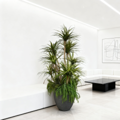 Custom Design Premium Faux Plants Arrangement with Cement Planter,Custom Design Premium Faux Plants Arrangement with Cement Planter