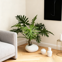 High Quality Faux Philodendron Leaves Potted Plant,High Quality Faux Philodendron Leaves Potted Plant