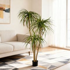 Premium Realistic Faux Dracaena Potted Trees / Multiple Sizes Available,Premium Realistic Faux Dracaena Potted Trees / Multiple Sizes Available