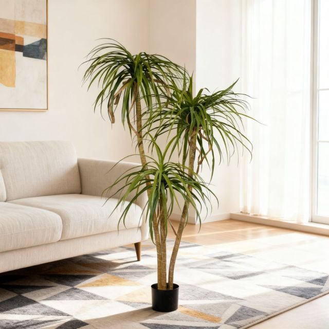 Premium Realistic Faux Dracaena Potted Trees / Multiple Sizes Available,Premium Realistic Faux Dracaena Potted Trees / Multiple Sizes Available