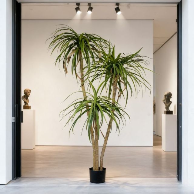 Premium Realistic Faux Dracaena Potted Trees / Multiple Sizes Available,Premium Realistic Faux Dracaena Potted Trees / Multiple Sizes Available