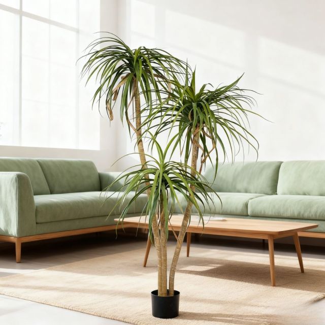 Premium Realistic Faux Dracaena Potted Trees / Multiple Sizes Available,Premium Realistic Faux Dracaena Potted Trees / Multiple Sizes Available