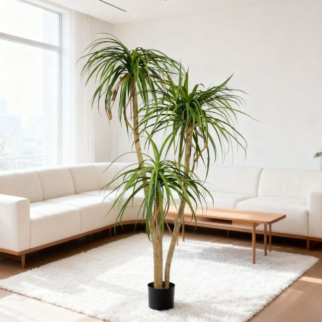 Premium Realistic Faux Dracaena Potted Trees / Multiple Sizes Available,Premium Realistic Faux Dracaena Potted Trees / Multiple Sizes Available