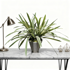 Real Touch Table Decor Faux Potted Spider Plants,Real Touch Table Decor Faux Potted Spider Plants