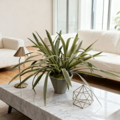 Real Touch Table Decor Faux Potted Spider Plants,Real Touch Table Decor Faux Potted Spider Plants