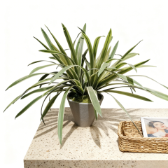Real Touch Table Decor Faux Potted Spider Plants,Real Touch Table Decor Faux Potted Spider Plants