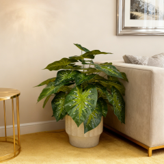 Custom Design Premium Faux Potted Alocasia Plants,Custom Design Premium Faux Potted Alocasia Plants