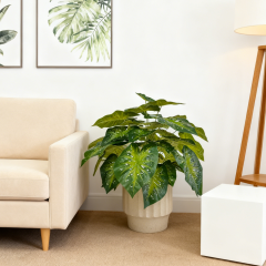 Custom Design Premium Faux Potted Alocasia Plants,Custom Design Premium Faux Potted Alocasia Plants